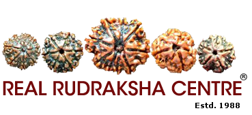 About Rudraksha